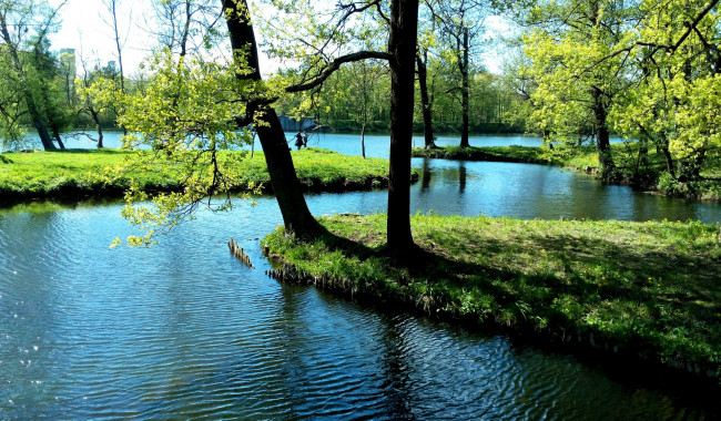 Обои картинки фото природа, реки, озера, водоем, трава, деревья