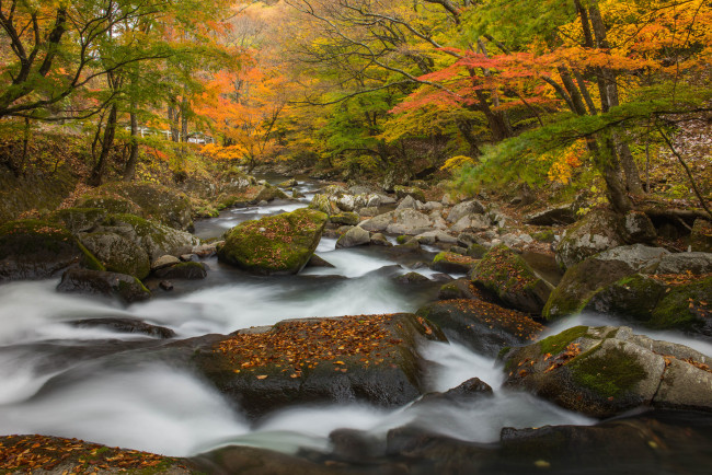 Обои картинки фото природа, реки, озера, waterfall, осень, l, stream, water, листья, вода, поток, водопад
