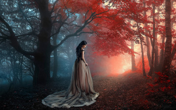 Картинка девушки -unsort+ брюнетки темноволосые ренат хисматулин деревья девушка осень платье лес настроение