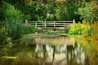 Картинка природа парк мостик пруд