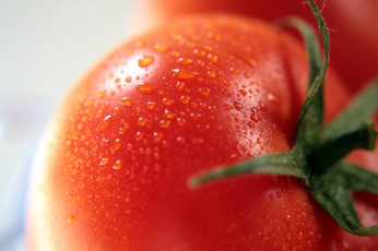 Картинка еда помидоры помидор