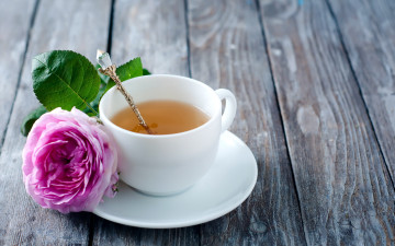 Картинка еда напитки +чай чай роза чашка
