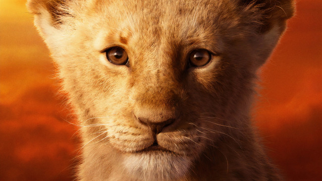 Обои картинки фото кино фильмы, the lion king , 2019, зверь
