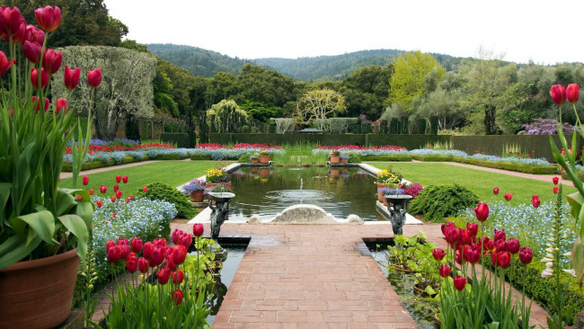 Обои картинки фото природа, парк, фонтан, клумбы, цветы
