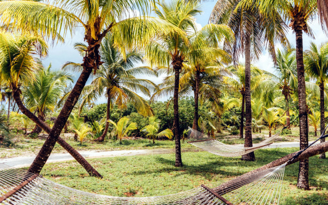 Обои картинки фото природа, тропики, гамаки, пальмы