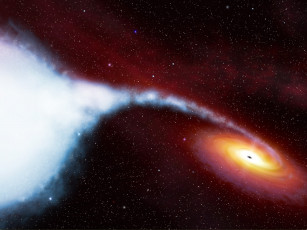 Картинка лебедь космос Черные дыры