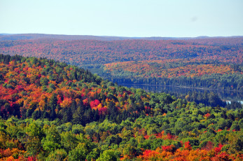 Картинка природа лес деревья река осень