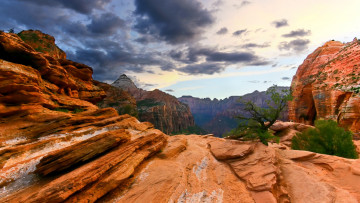 Картинка zion national park природа горы камни панорама