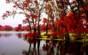 Картинка autumn природа реки озера осень река деревья красные листья