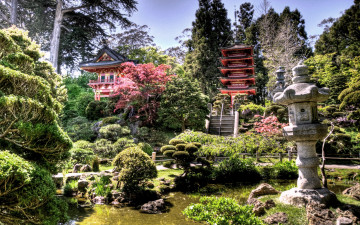 Картинка japanese tea garden природа парк Япония чайный сад