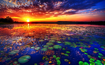 Картинка lake of dreams природа восходы закаты озеро растительность закат