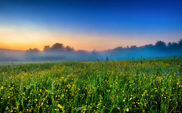 Картинка природа луга восход туман утро