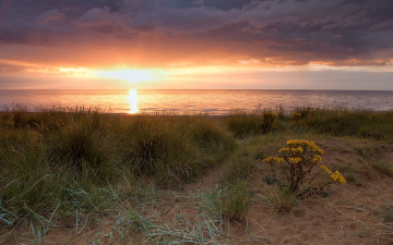Картинка природа восходы закаты океан закат побережье трава