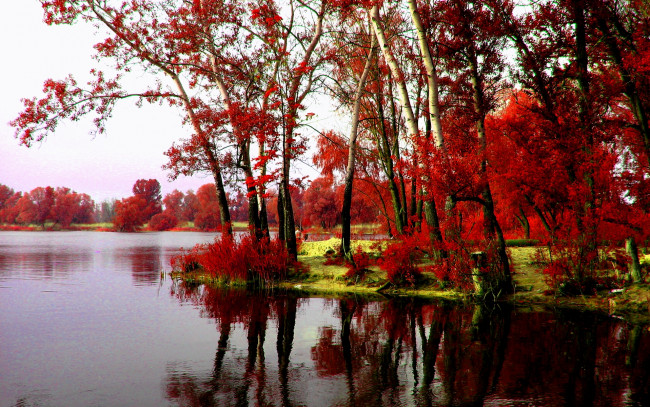 Обои картинки фото autumn, природа, реки, озера, осень, река, деревья, красные, листья