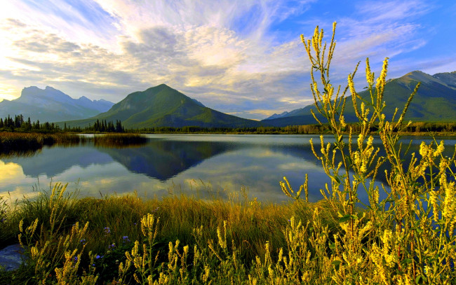 Обои картинки фото calm, lake, природа, реки, озера, трава, озеро, горы