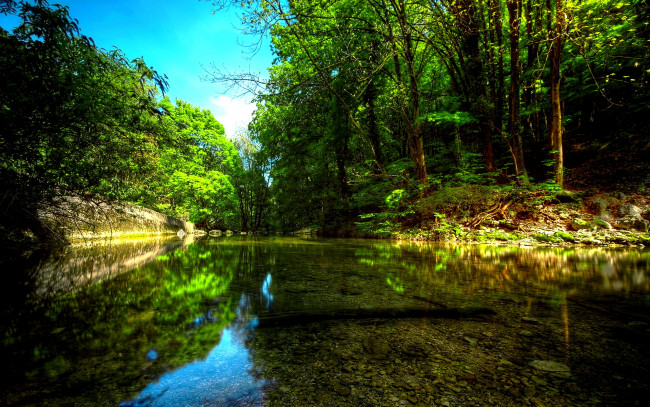 Обои картинки фото forest, river, природа, реки, озера, река, лес