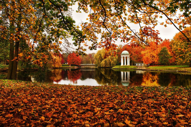 Обои картинки фото autumn, природа, парк, беседка, пруд, осень