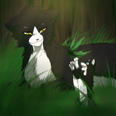Картинка рисованные животные +коты трава кошки