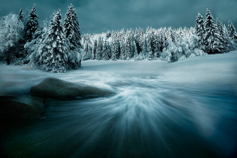 Картинка природа зима ёлки снег