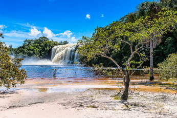 Картинка canaima+national+park+венесуэла природа водопады побережье водопад река парк