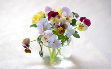 Картинка цветы анютины+глазки+ садовые+фиалки анютины глазки букет ваза