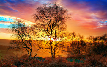 Картинка природа восходы закаты небо дерево тепло свет солнце осень