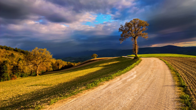 Обои картинки фото природа, дороги, небо, поля, свет, облака, дерево, тучи, италия