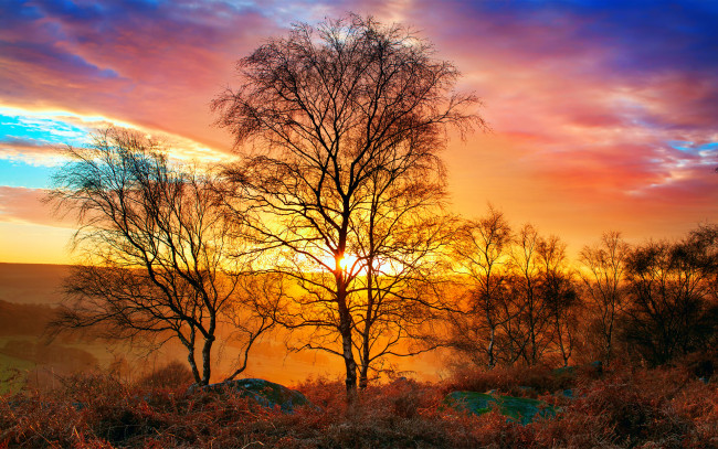 Обои картинки фото природа, восходы, закаты, небо, дерево, тепло, свет, солнце, осень