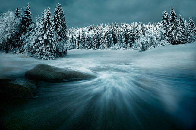 Обои картинки фото природа, зима, ёлки, снег