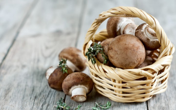 Картинка еда грибы +грибные+блюда портабелло корзинка