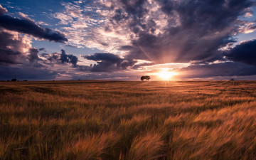 Картинка природа восходы закаты пейзаж закат лето поле