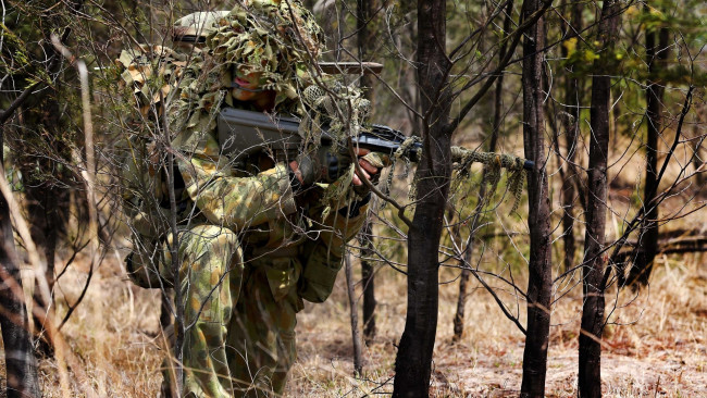 Обои картинки фото оружие, армия, спецназ, camouflage, soldier, australian, army, sniper, forest