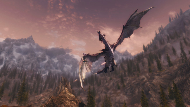 Обои картинки фото видео игры, the elder scrolls v,  skyrim, дракон, фон, полет