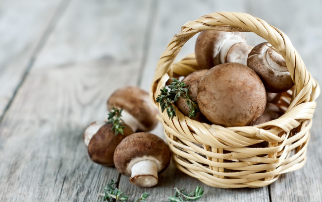 Обои картинки фото еда, грибы,  грибные блюда, портабелло, корзинка