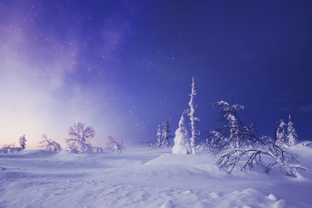 Картинка природа зима lapland finland лапландия финляндия снег звёздное небо сугробы деревья