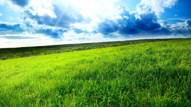 Обои картинки фото природа, луга, трава, облака, небо, поля