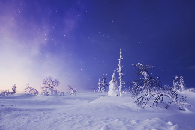 Обои картинки фото природа, зима, lapland, finland, лапландия, финляндия, снег, звёздное, небо, сугробы, деревья