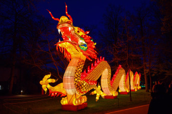 Картинка разное иллюминация вечер дракон зоопарк китай огни фигура