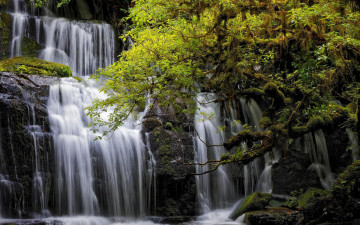 Картинка природа водопады водопад скалы деревья