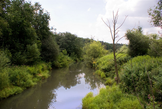 Обои картинки фото природа, реки, озера, облака, деревья, ручей, засохшее, дерево