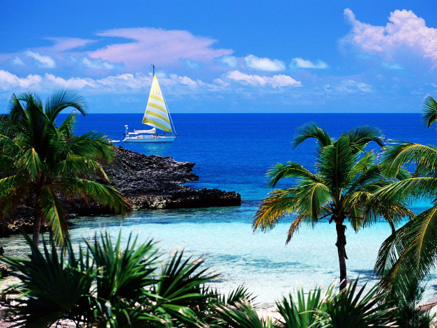 Обои картинки фото eleuthera, point, harbour, island, bahamas, природа, тропики, океан, пальмы, остров, пляж, багамы