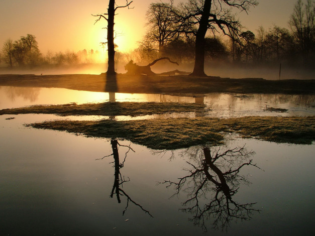Обои картинки фото reflection, of, trees, in, lake, природа, реки, озера, вечер, озеро, деревья