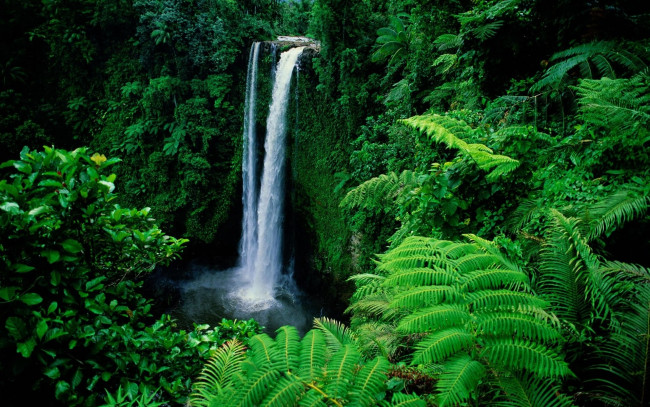 Обои картинки фото waterfall, in, forest, природа, водопады, лес, джунгли, водопад