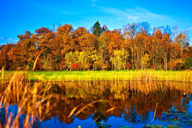 Обои картинки фото природа, реки, озера, вода, осень, деревья, отражение