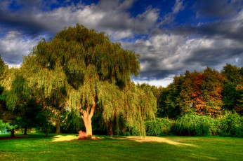 Картинка foote park branford usa природа парк деревья лужайка