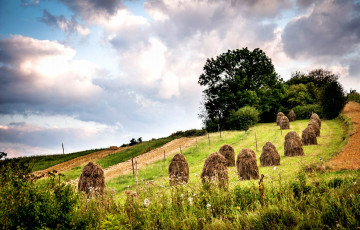 Картинка природа поля поле косогор трава снопы деревья