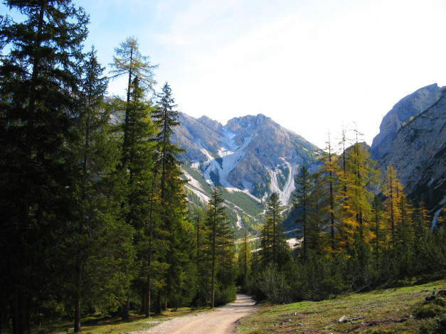 Обои картинки фото south, tyrol, italy, природа, горы, лес