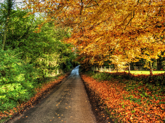 Обои картинки фото winchester, hampshire, природа, парк, деревья, осень