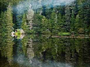Картинка природа реки озера озеро лес отражение