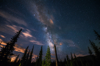 Картинка природа деревья ночь звёздное небо